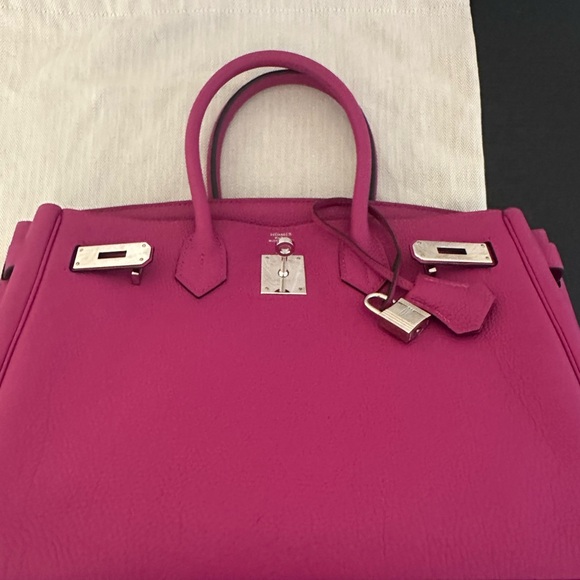 Hermes Birkin 30CM Magnolia Togo Leather with Palladium Hardware - Picture 2 of 16